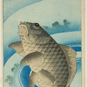 Carp, Japan, c. 1830 / 44. Creator: Katsushika Taito
