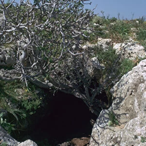 The Cave of Eileithyia