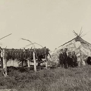 Chukchi Yurt and Fish-Curing, 1889. Creator: Unknown