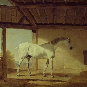 The Earl of Coventrys Horse, 1805. Creator: Benjamin Marshall