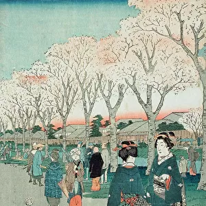 Flowers Beside the Tamagawa-Zutsumi (image 3 of 3), c1856. Creator: Ando Hiroshige