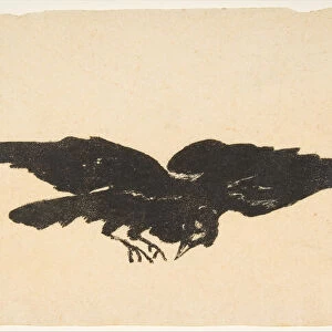 The Flying Raven, Ex Libris for The Raven by Edgar Allan Poe, 1875