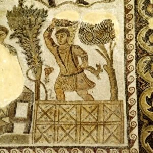 Fruit Collecting and grape treading Mosaic, c3rd century
