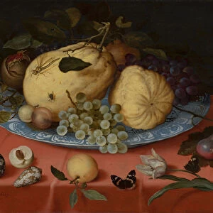 Fruit Still Life with Shells and Tulip, 1620