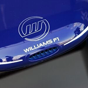 Formula One World Championship: Williams FW31 nose cone