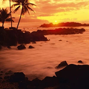 Palm Trees and Beach at Sunset, North Shore, Oahu, Hawaii, USA