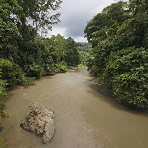 Sediment-laden river, Danum Valley, Malaysia