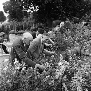 Garden for the blind in Bromley, Kent (now Greater London). 29th July 1952