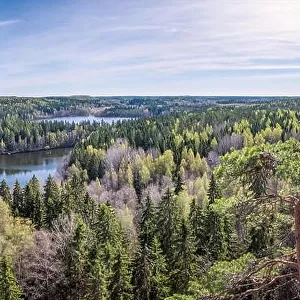 Scenic forest landscape with lake and trees at bright sunny spring day in Finland