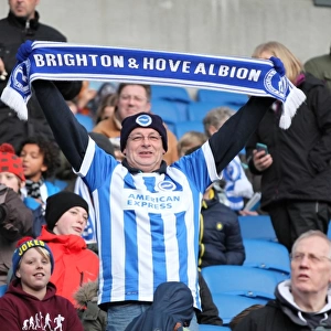 Passionate Showdown: Brighton & Hove Albion vs. Brentford (17Jan15)